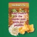 Sprouted Matki Usal - Image 9